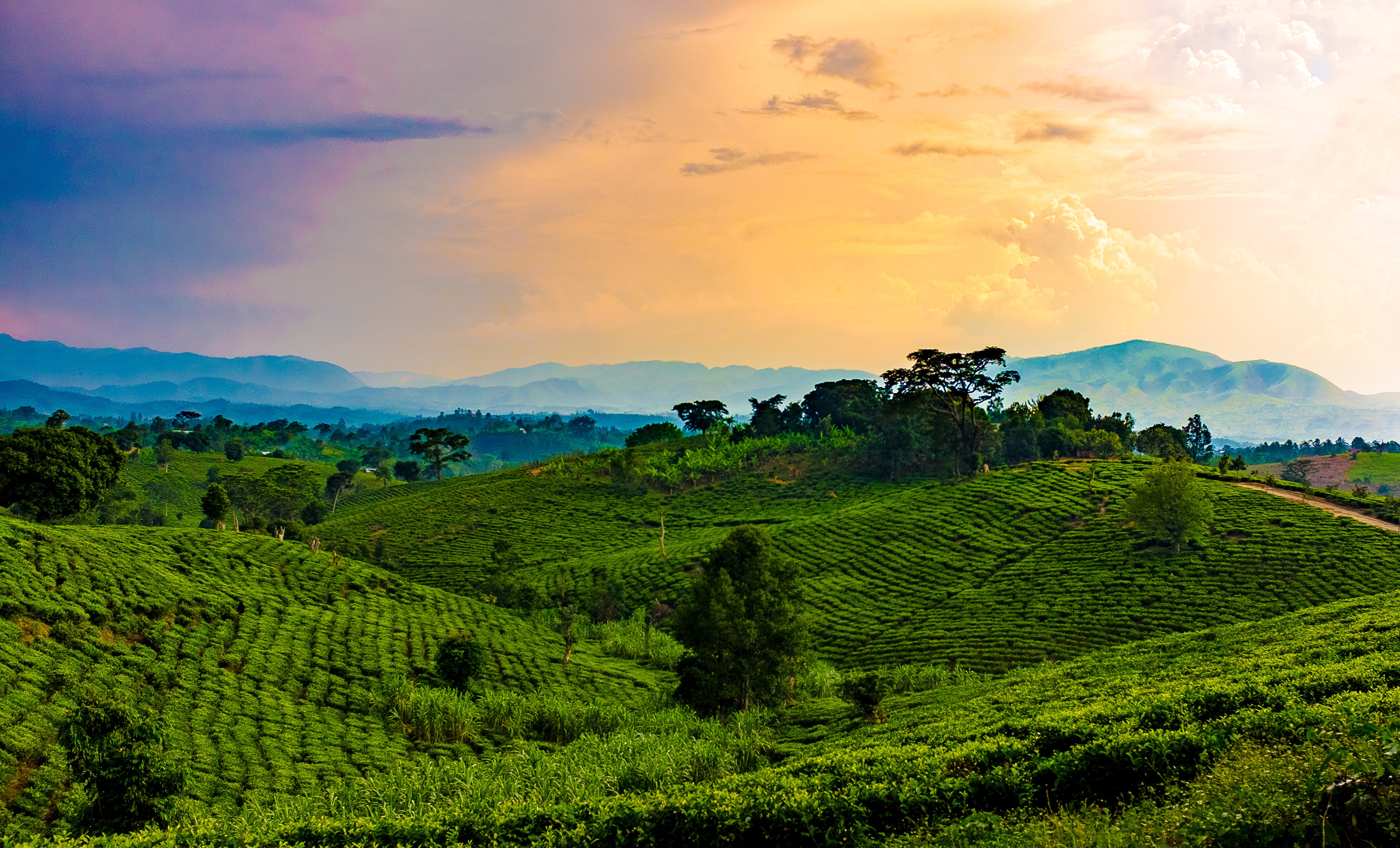 Visa for Uganda