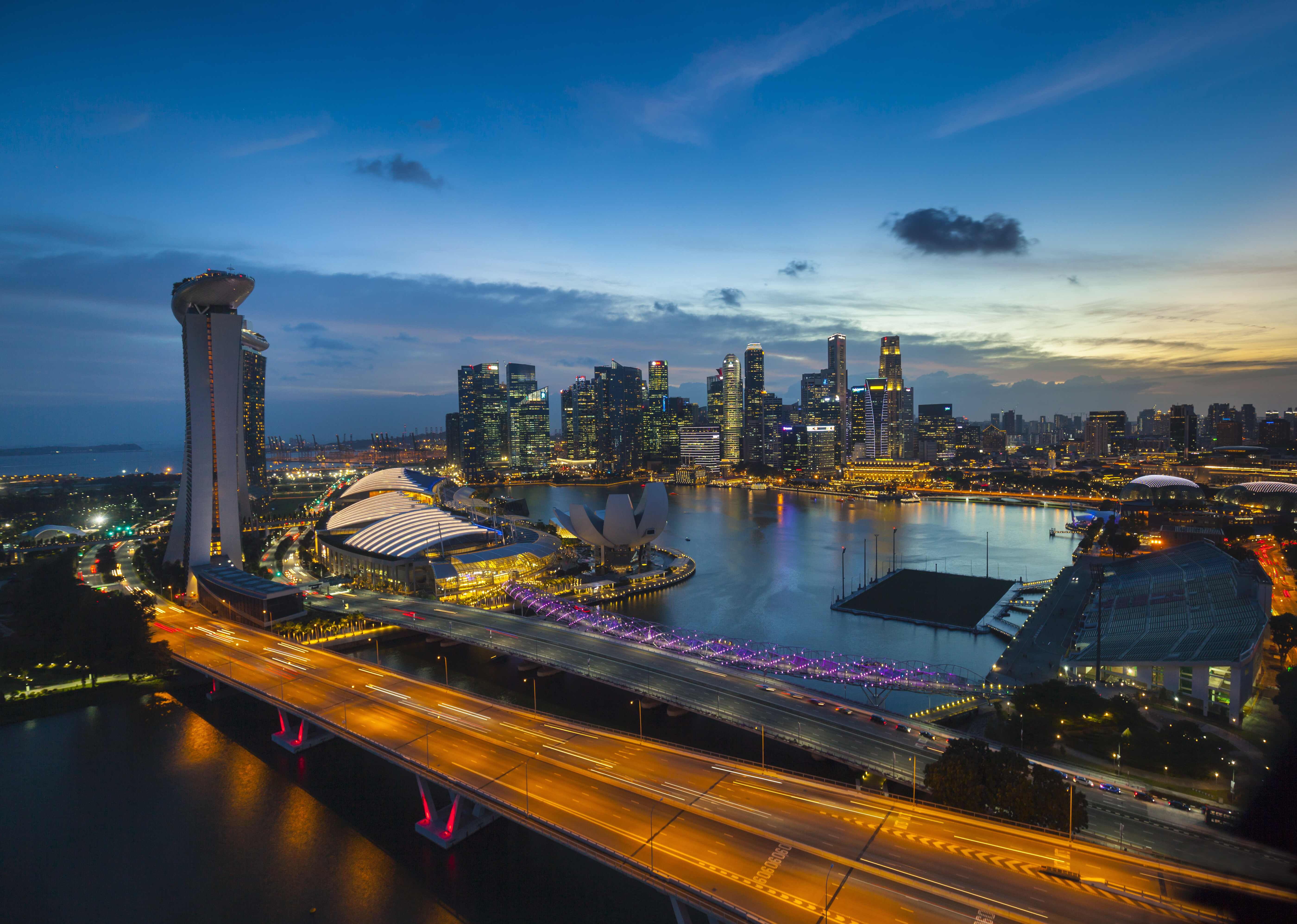 Singapore Arrival Card